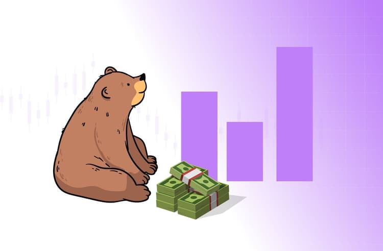 Estrategias de inversión para prepararse para Crypto Bear Market: Guía para principiantes