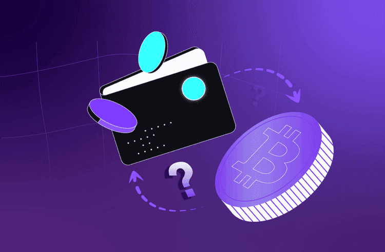 Cómo crear una billetera de criptomonedas para principiantes: guía paso a paso