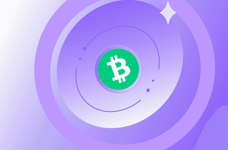 Guía completa para vender Bitcoin Cash (BCH) al instante: La forma rápida de vender Bitcoin Cash