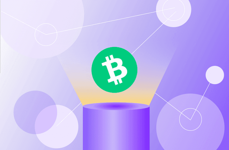 Cómo comerciar Bitcoin Cash – Guía para principiantes y consejos para comprar y vender BCH