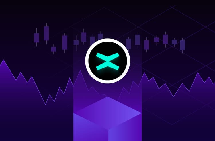 Cómo comerciar MultiversX – Guía para principiantes y consejos para comprar y vender EGLD